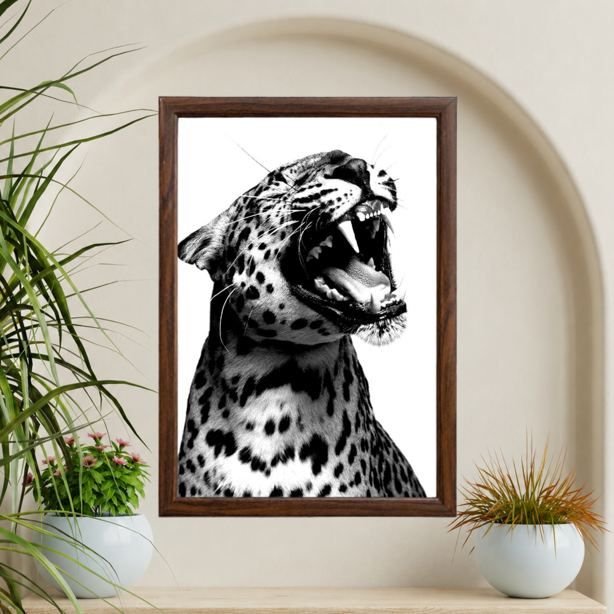 Cheeta